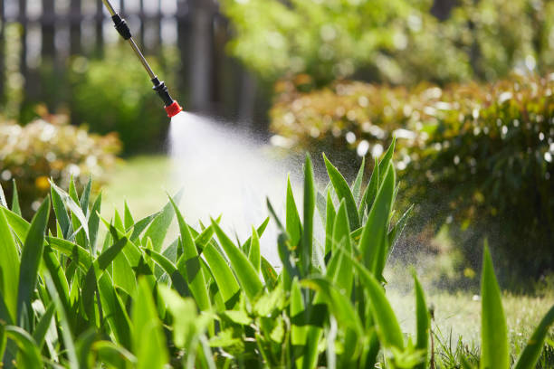 24/7 Emergency Mosquito Control experts in Browns Lake, WI