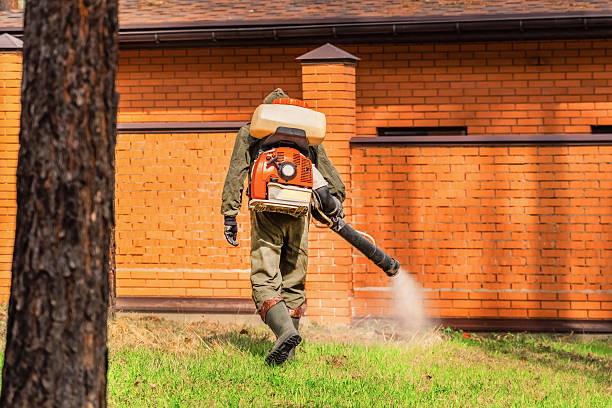 Top rated local Mosquito Control specialists in Browns Lake, WI